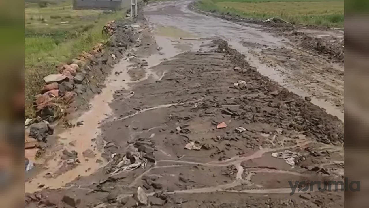 Erzurum Tekman'da sel tarımı vurdu