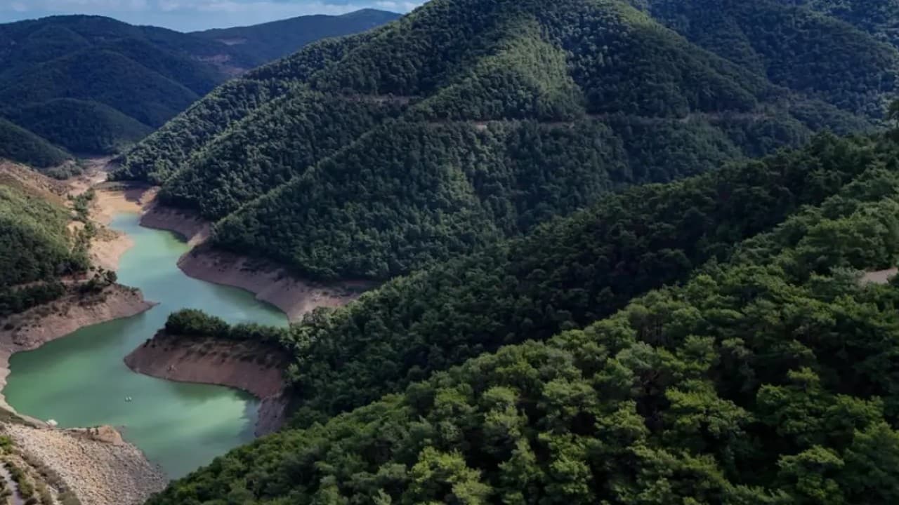 Kocaeli'de Ormanlık Alanlara Giriş ve Ateşli Faaliyetler Yasaklandı