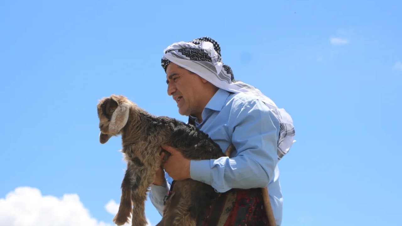 Aydın Aydın, Hakkâri'de Yavru Keçiye Yardım Etti