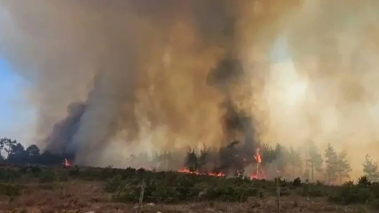 Kahramanmaraş'ta orman yangını: Ekipler seferber oldu