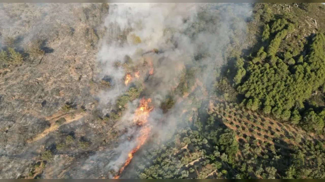 Meteoroloji Antalya için 40 derece sıcaklık ve yüzde 10-20 nemle orman yangını uyarısı yaptı