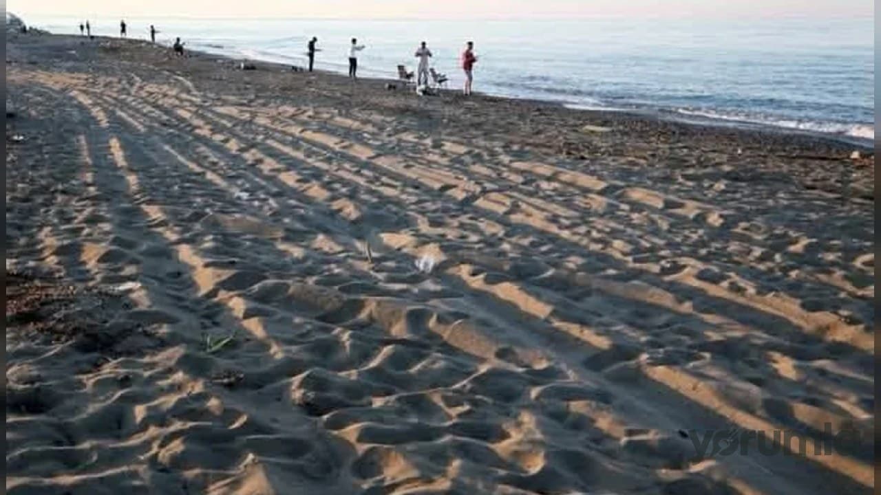Antalya’da 21 sahilde caretta caretta koruması, 699 bin TL ceza uygulanıyor