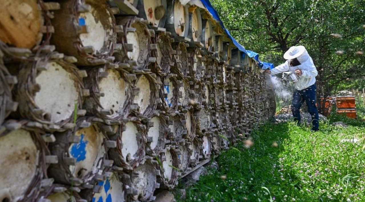 Çatak’ta 800 Kovan Desteğiyle Yıllık 500 Ton Bal Üretimi Hedefleniyor