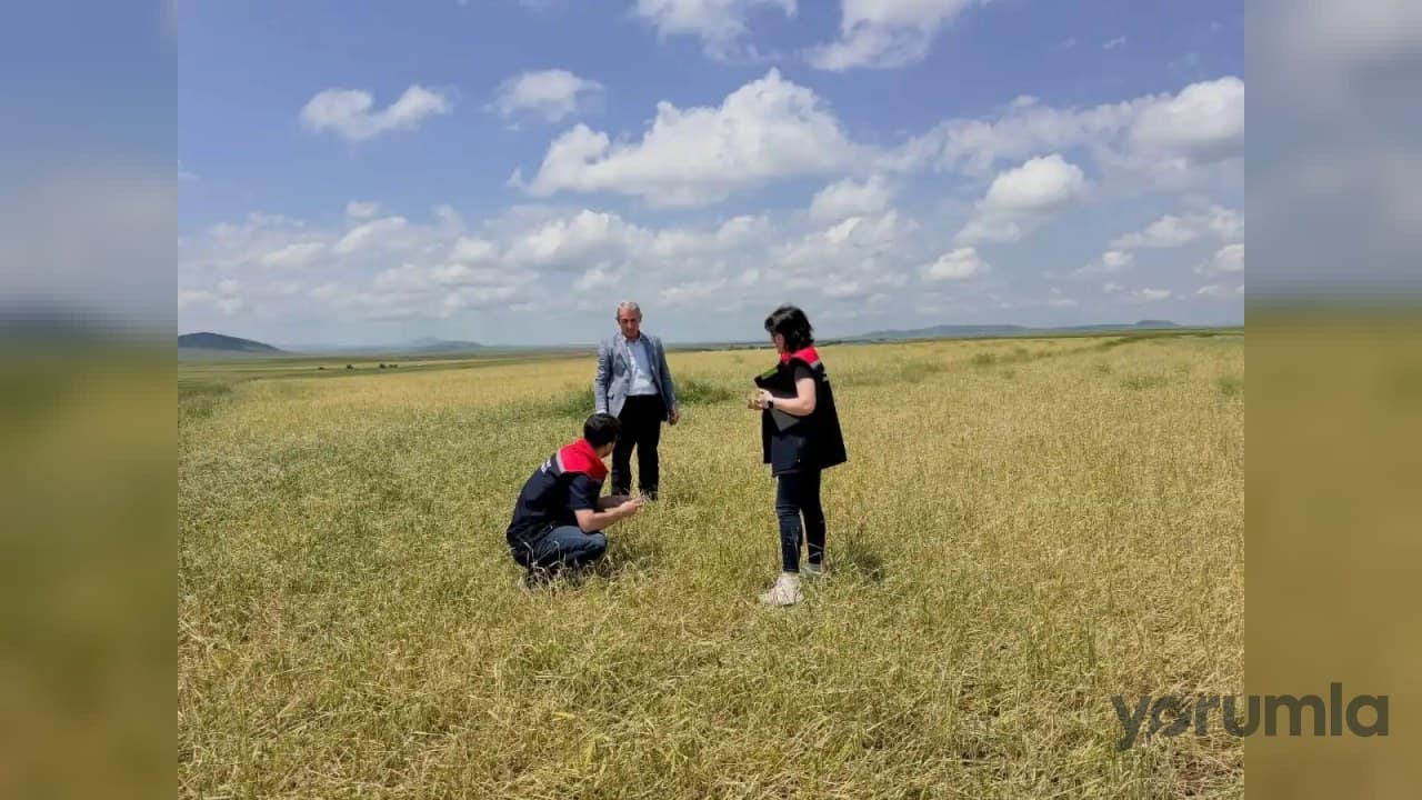 Kars’ta fırtına ve dolu sonrası hasar tespiti başladı