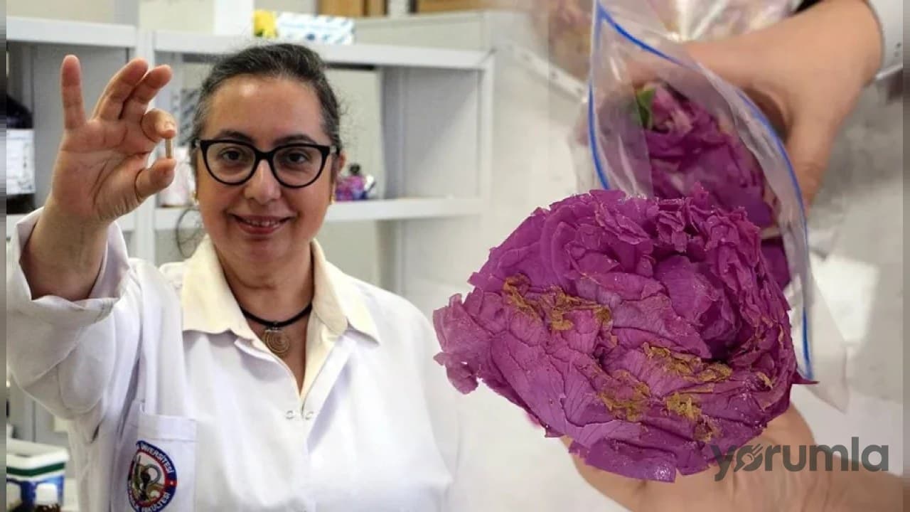 Isparta güllerinden yutulabilir parfüm: Trakya Üniversitesi'nde yeni kapsül yöntemi