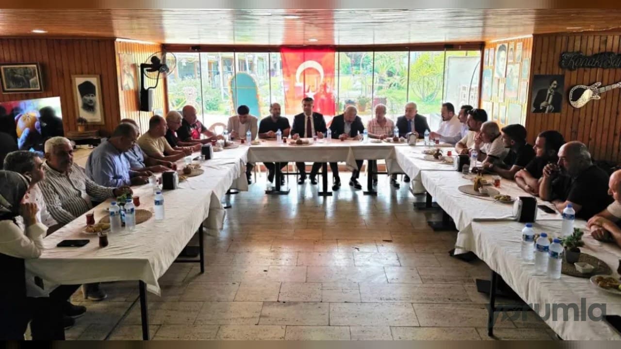 Dörtyol Ziraat Odası: Televizyonlarda mandalina reklamı bu yıl da sürecek