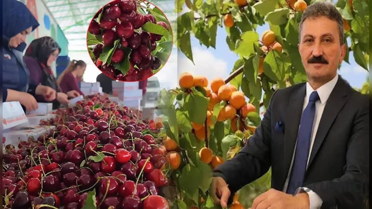 Batı Akdeniz’de haziranda 80,5 milyon dolarlık yaş sebze ihracatı