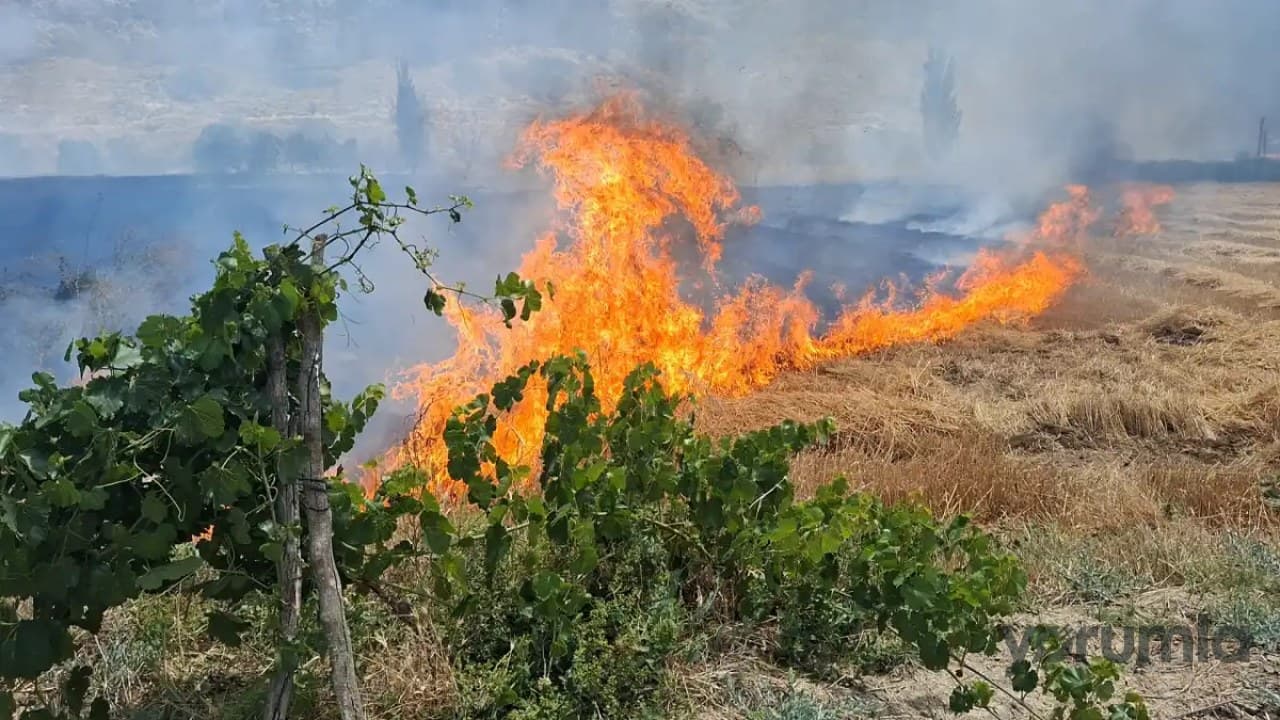 06-79 Kontra kesiminde bağ evlerine ulaşan yangında 3 ev kullanılamaz