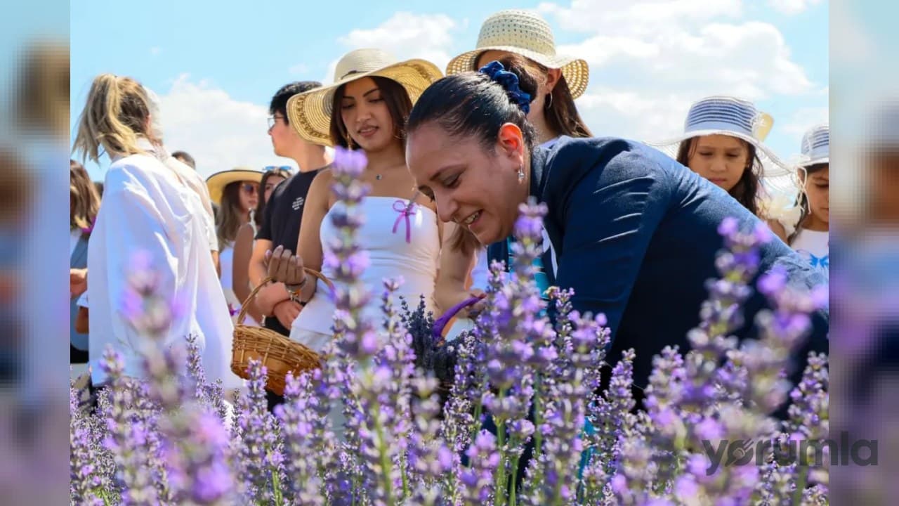 2. Lavanta Hasat ve Sanat Günleri Lavantepe’de sona erdi
