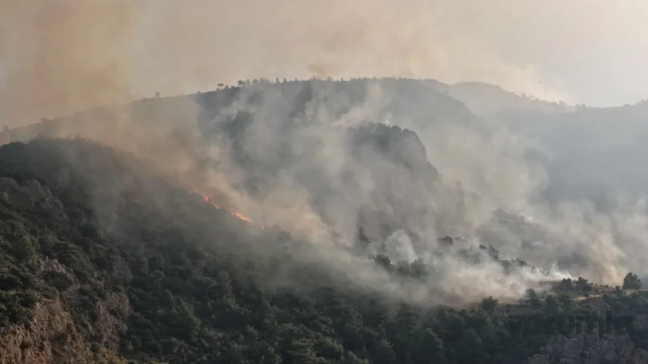 1 Haziran’dan itibaren 16 ilde 44 orman yangını soruşturması