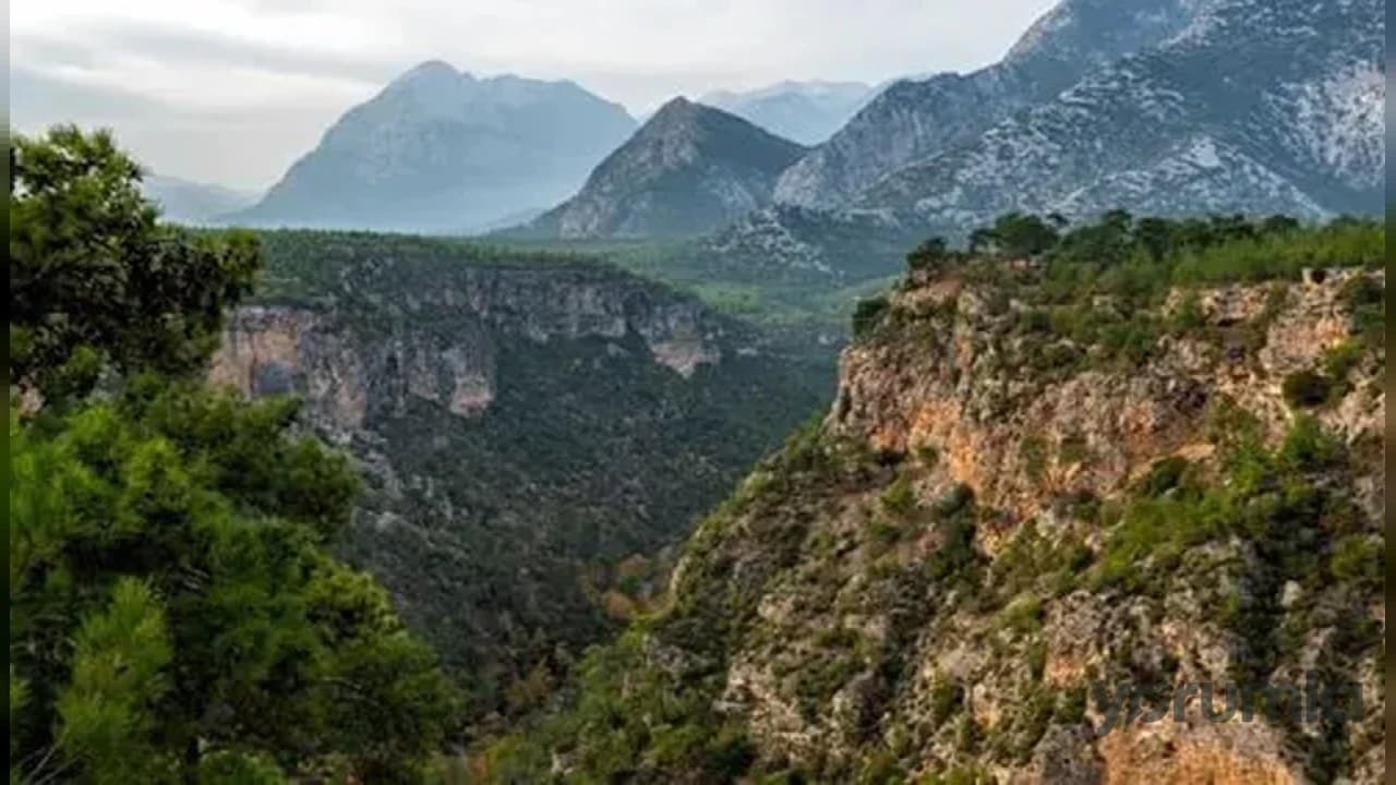 Antalya’da ormanlara giriş 1 Mayıs’tan itibaren yasaklandı: Tedbirler artırıldı