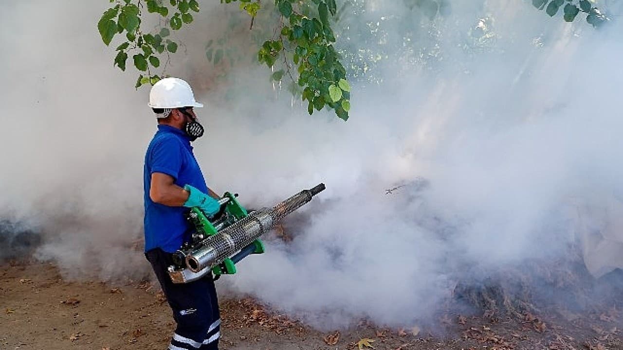 Antalya'da vektörle mücadele kesintisiz sürüyor: Üreme alanları tek tek ilaçlanıyor!
