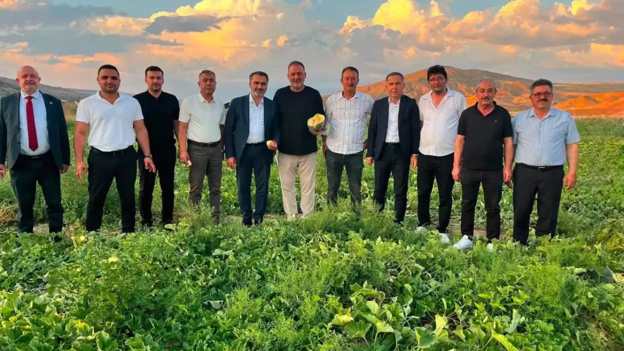 Delice Kara Kavunu bilimsel destekle hasada çıktı, marka hedefi büyüyor