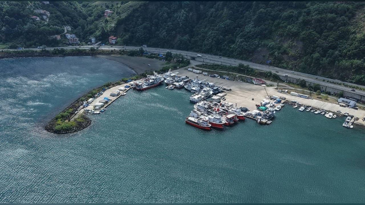 1 Eylül av sezonu öncesi Yoroz Limanı’nda palamut hazırlığı