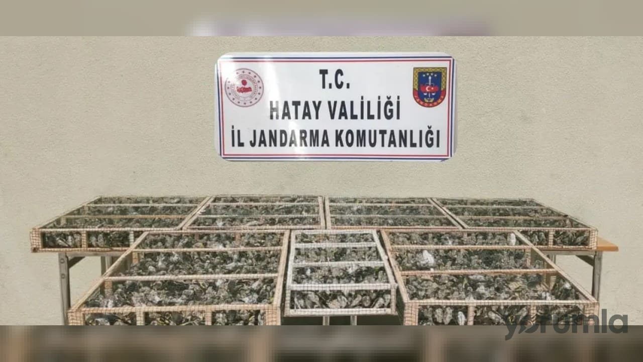 15 Temmuz sergisinin açılışı Kars’ta Vali Ziya Polat tarafından yapıldı