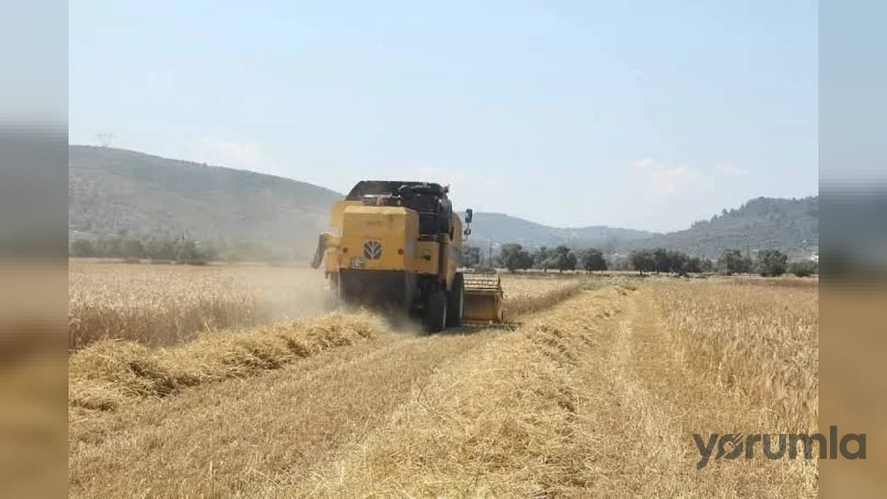 Çiftçilerin hesaplarına tarımsal destekleme ödemeleri aktarılacak