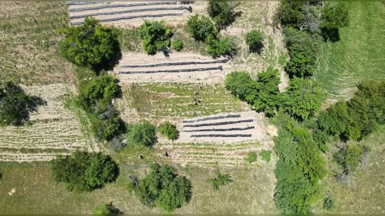 ORKÖY desteklerinde 2026 hedefi 11.325 orman köylüsü hanesi ve 3,3 milyar lira