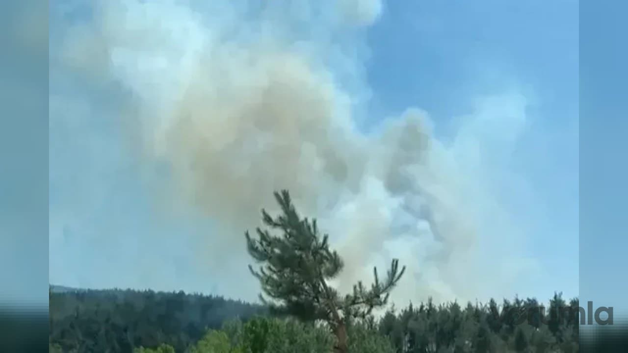 Bursa’da 3 noktada çıkan orman yangınında 08.30 alarm verildi: ekipler sevk edildi