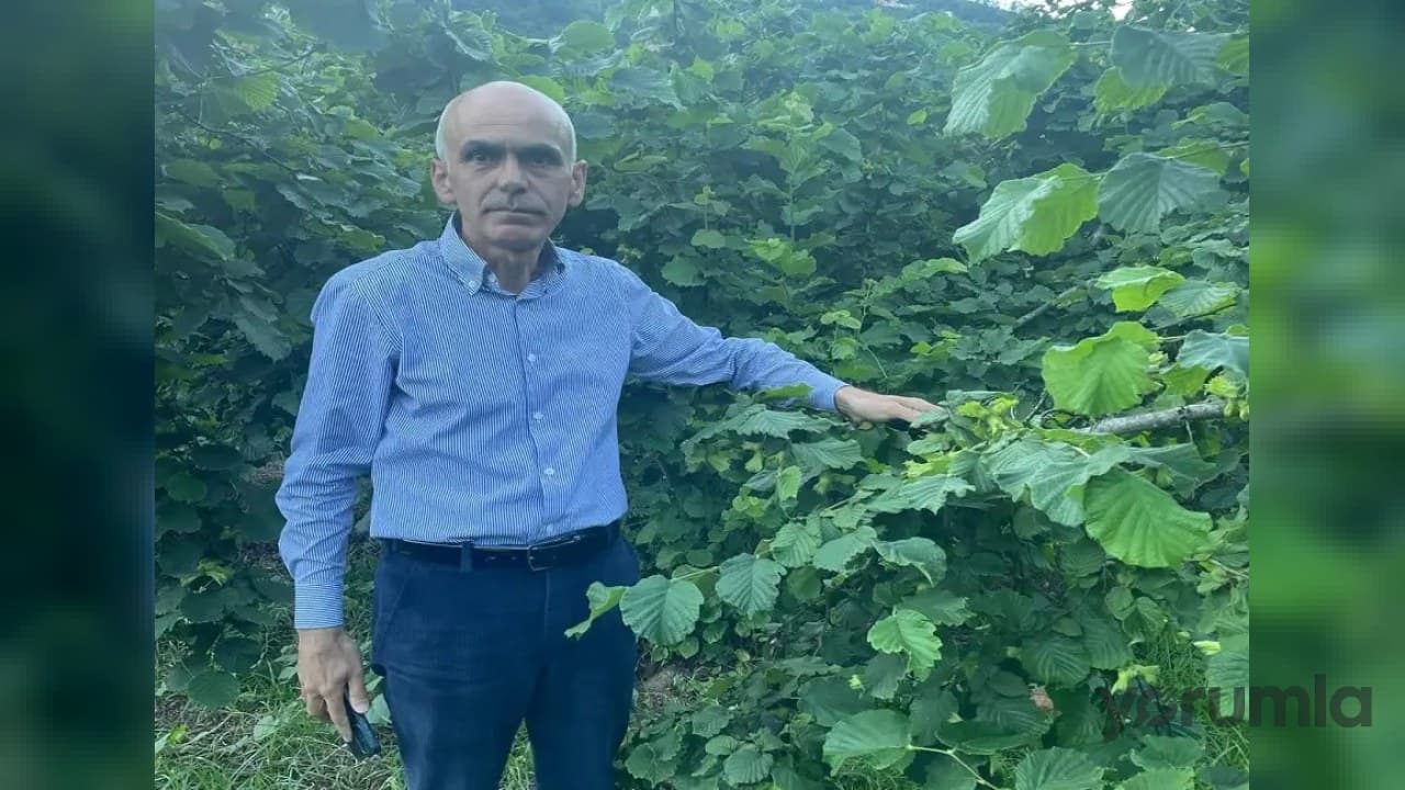 Giresun Ziraat Odası Başkanı Nurittin Karan’dan fındıkta “sessizlik” tepkisi
