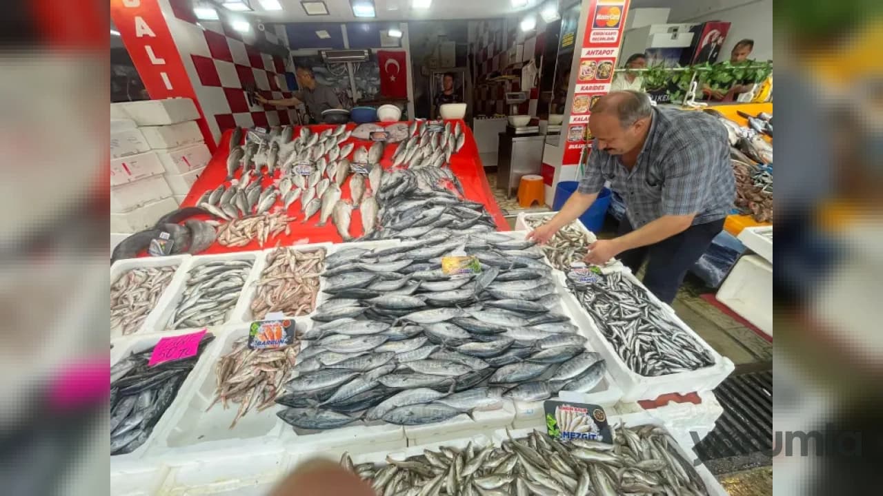 Palamut av sezonu başladı: Av yasağı sona erdi