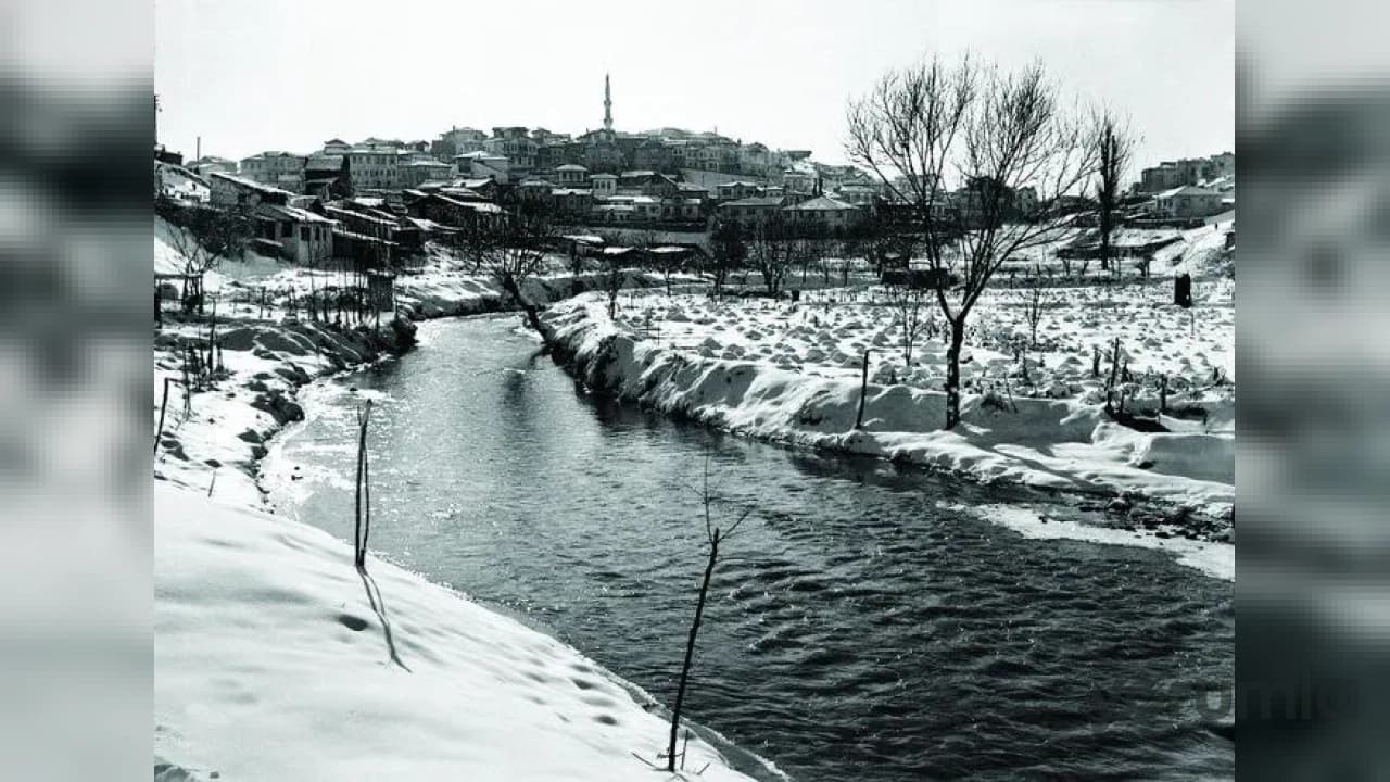 Dezenformasyonla Mücadele Merkezi, “yanan ormanlar betona teslim edildi” iddiasını yalanladı