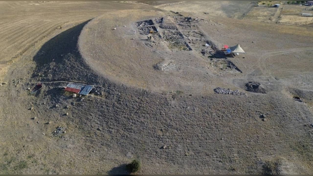 Ankara Gölbaşı'nda 66 Milyon Yıllık Gastropoda Fosili Keşfedildi