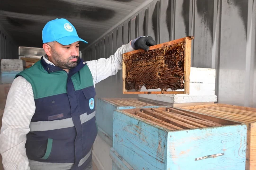 Manisa’da Arıcılara Dev Destek: "Bal Peteği Muhafaza ve Koruma Projesi" Başladı