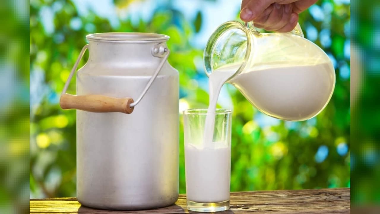 İçme Sütlerinde Yeni Dönem: Etiketlerde Şeffaflık Sağlandı ve Yasaklar Geldi