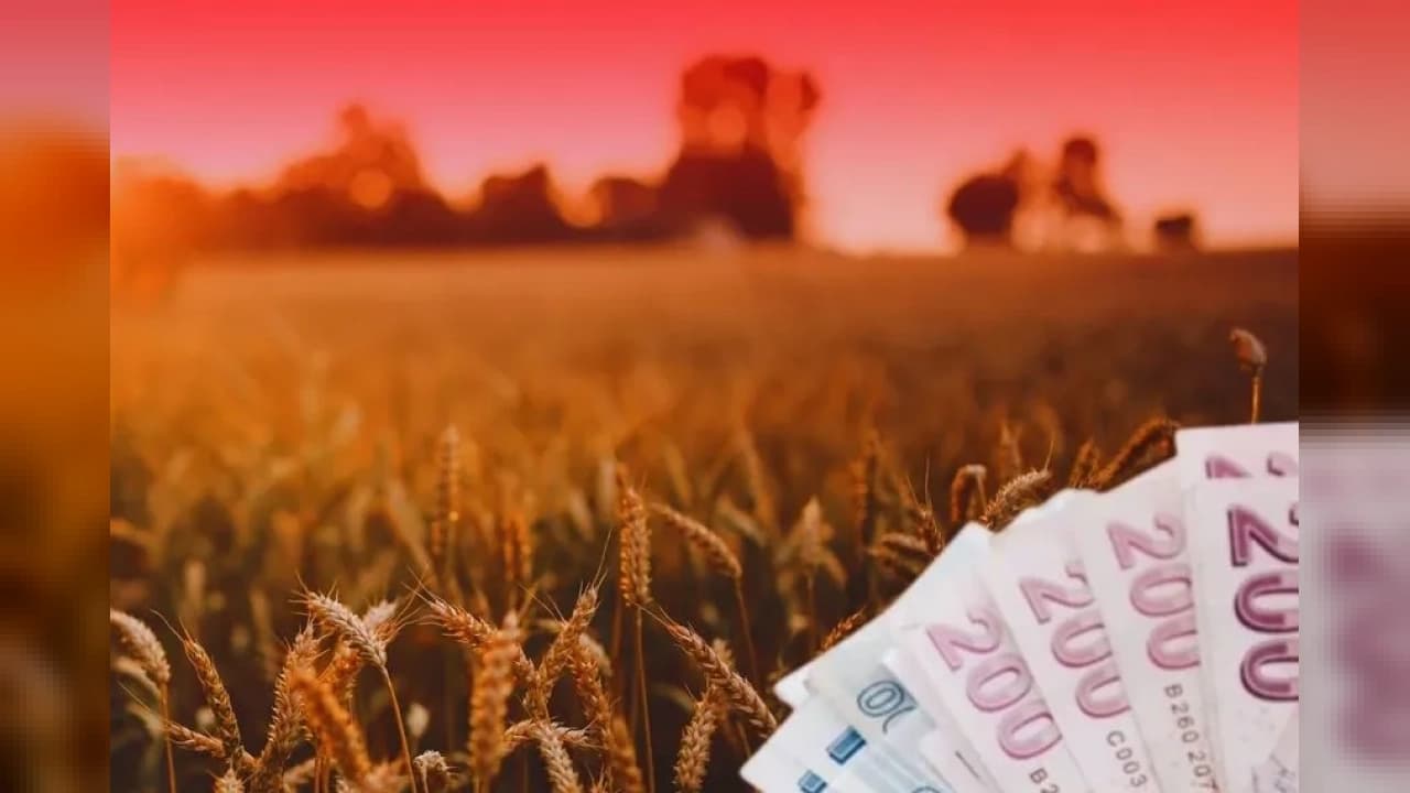 Toprak Mahsulleri Ofisi'nden Üreticilere 4,5 Milyar TL'yi Aşkın Ödeme Desteği