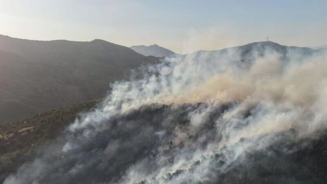 Bingöl'de Orman Yangını: Ekiplerin Hızlı Müdahalesiyle Alevler Kontrol Altına Alındı