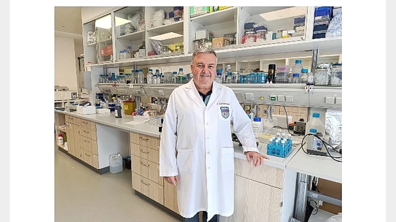 Damar Tıkanıklığında Antibiyotikle Tedavi Umudu: Damarları Bir Parazit Tıkıyor Olabilir