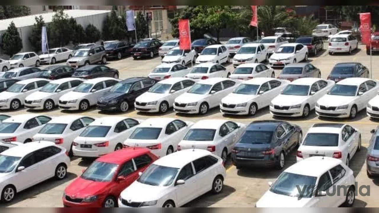 Kars'ta Araç Sayısı Arttı: TÜİK Ağustos 2026 Verileri Açıklandı