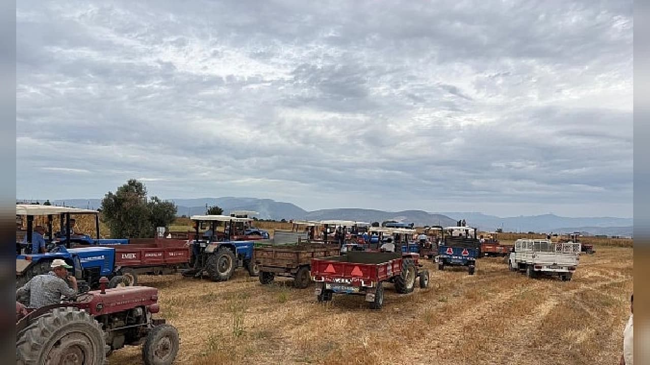 Milas Belediyesi'nden Kırsal Kalkınma Hamlesi: 139 Üreticiye Ücretsiz Destek