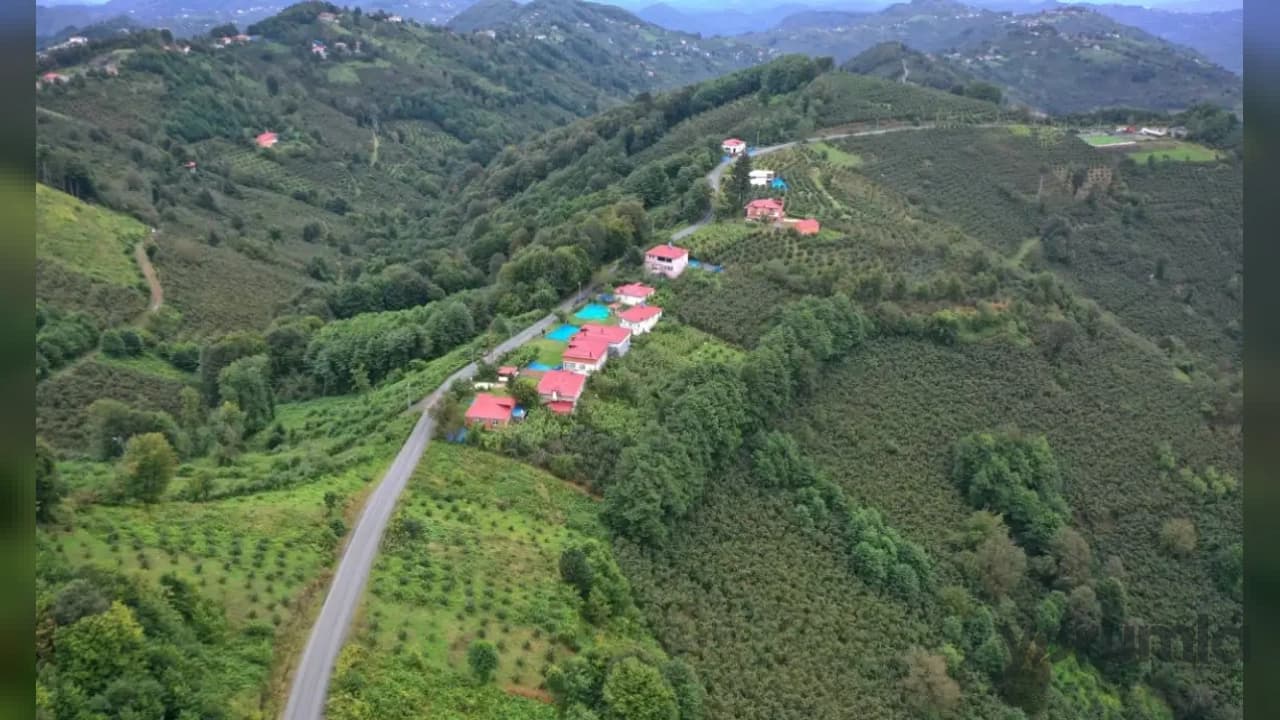 Ordu'da Kritik Güzergâh Asfalt Konforuna Kavuştu