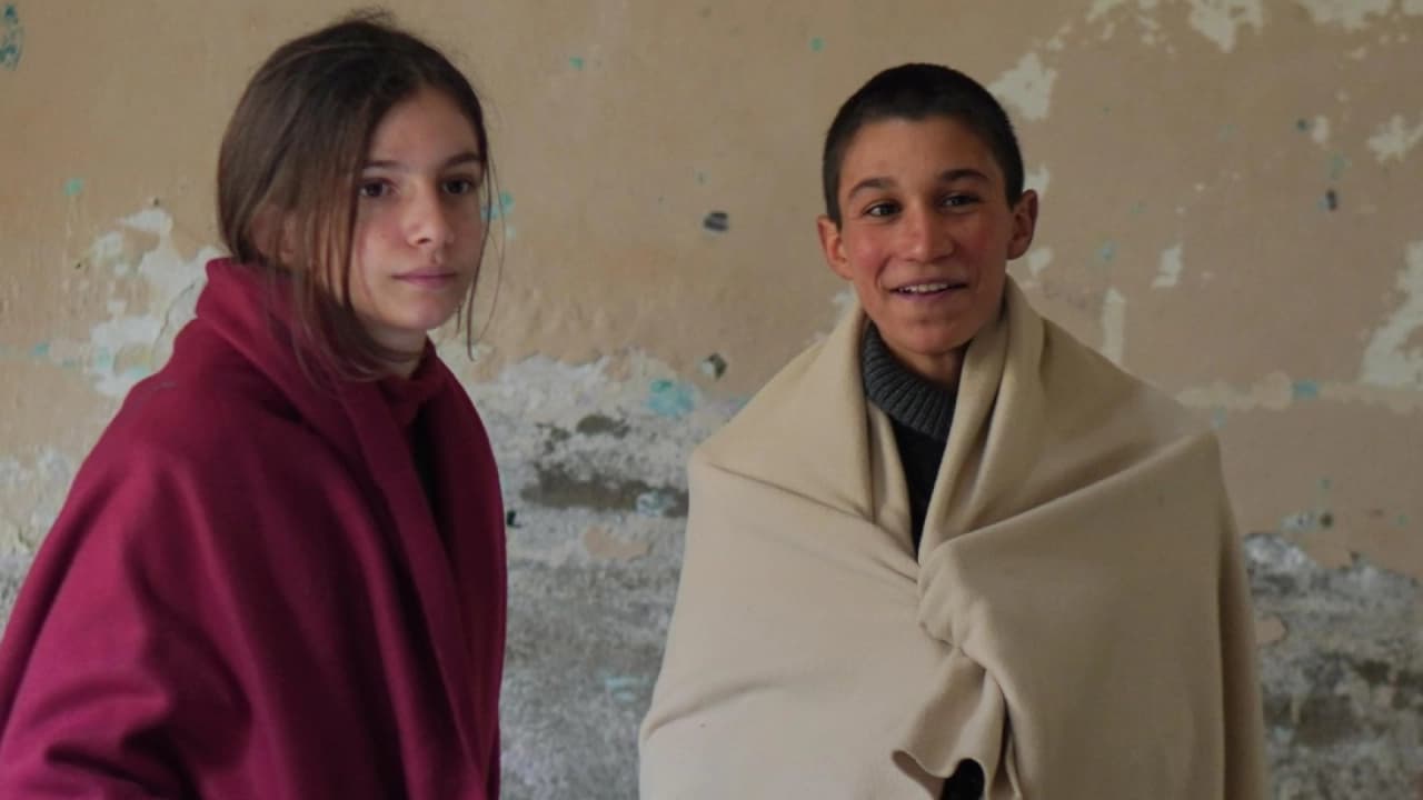 Ödüllü Türk Filmleri Sinemalarda İzleyici Bulamıyor: Festival Krizi Büyüyor