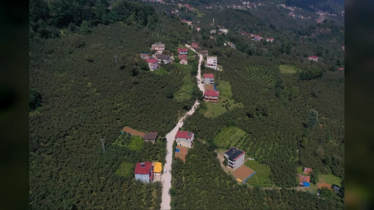 Ordu'da Yılların Çilesi Bitti: Sevdeş Bağlantı Yoluna Beton Konforu