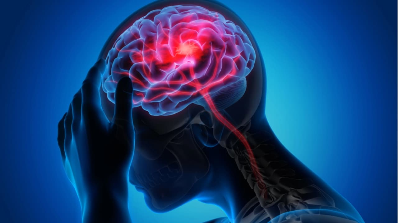 Dünya Alzheimer Günü'nde Uzman Uyarısı: Unutkanlık Yaşlanmanın Doğal Sonucu Değil
