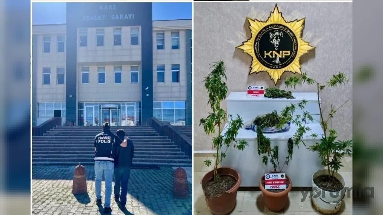 Kars'ta Narkotik Operasyonu: Evde Esrar ve Hint Keneviri Ele Geçirildi