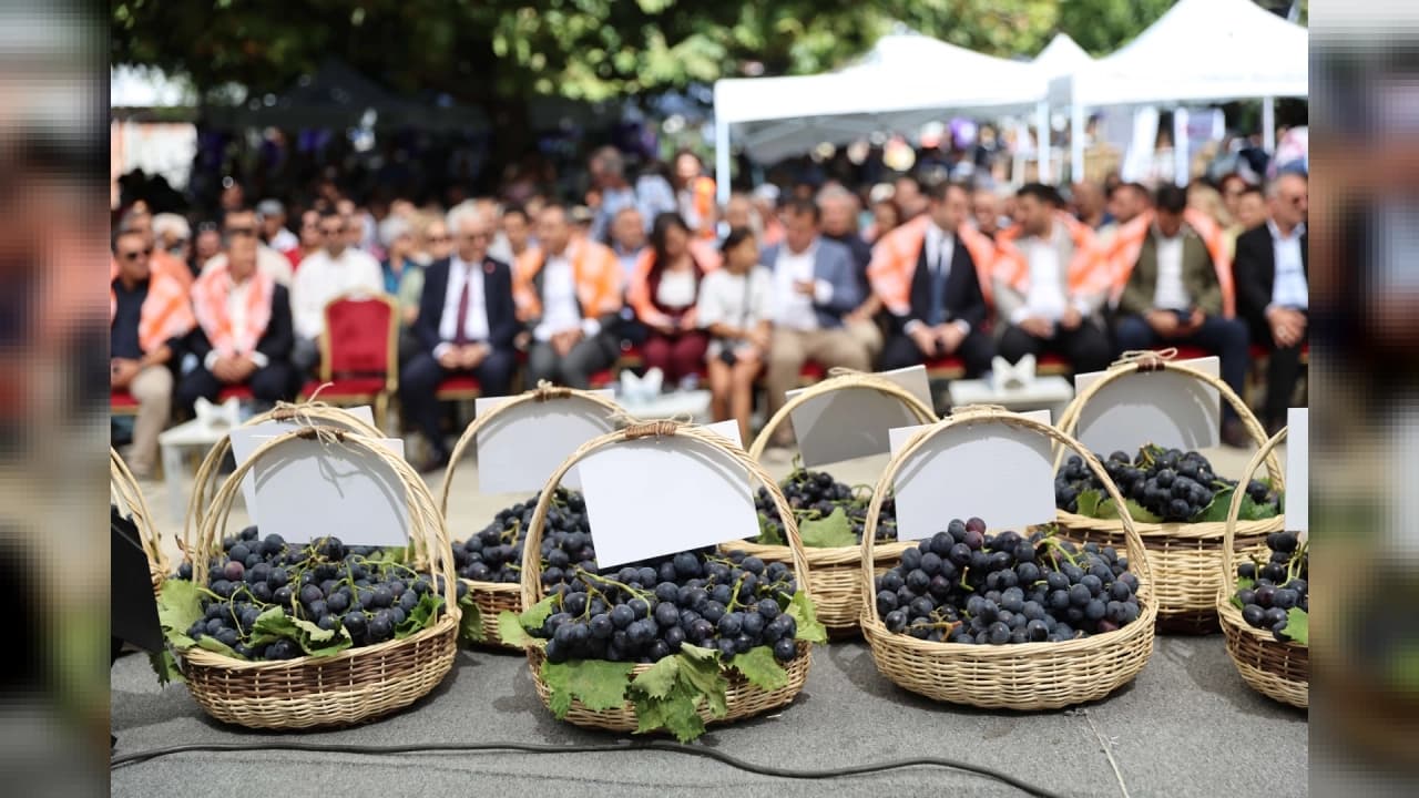 İzmir'de 14. Kavacık Üzüm Festivali Coşkuyla Başladı: Coğrafi İşaretli Üzüm Görücüye Çıktı