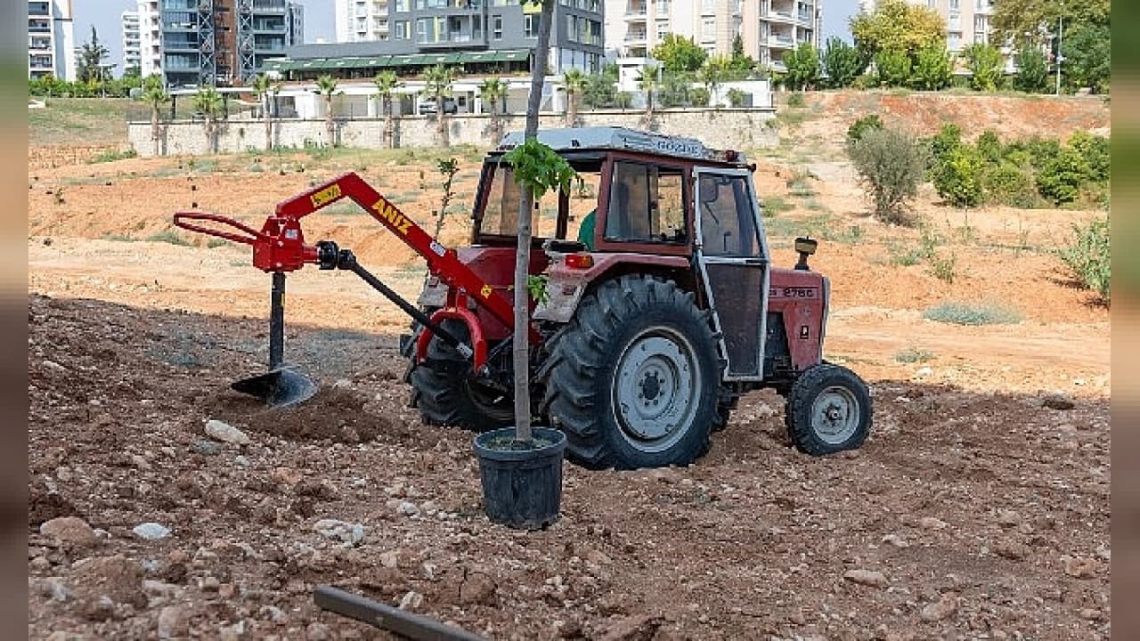 Yenişehir'den İklim Krizine Karşı Mikroiklim Hamlesi: Sıcaklıklar Düşüyor