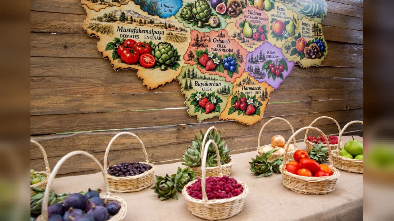 Uluslararası 5. Bursa Gastronomi Festivali Yüz Binlerce Ziyaretçiyi Ağırladı