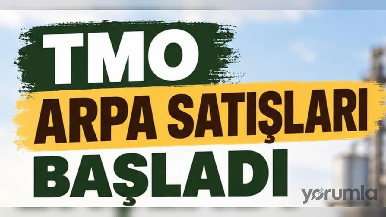 Beypazarı Ziraat Odası'ndan Açıklama: TMO Arpa Satışları Başladı
