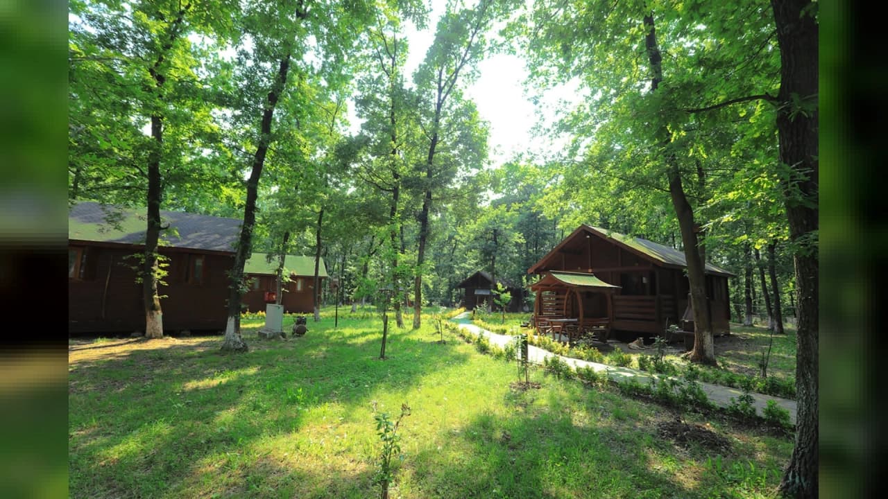 Sapanca'da Doğayla İç İçe Tatil: İl Ormanı Bungalov Evleri Misafirlerini Ağırlıyor