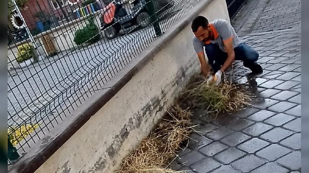 Burhaniye’de Mazgal Temizliği Çalışmaları Titizlikle Sürüyor