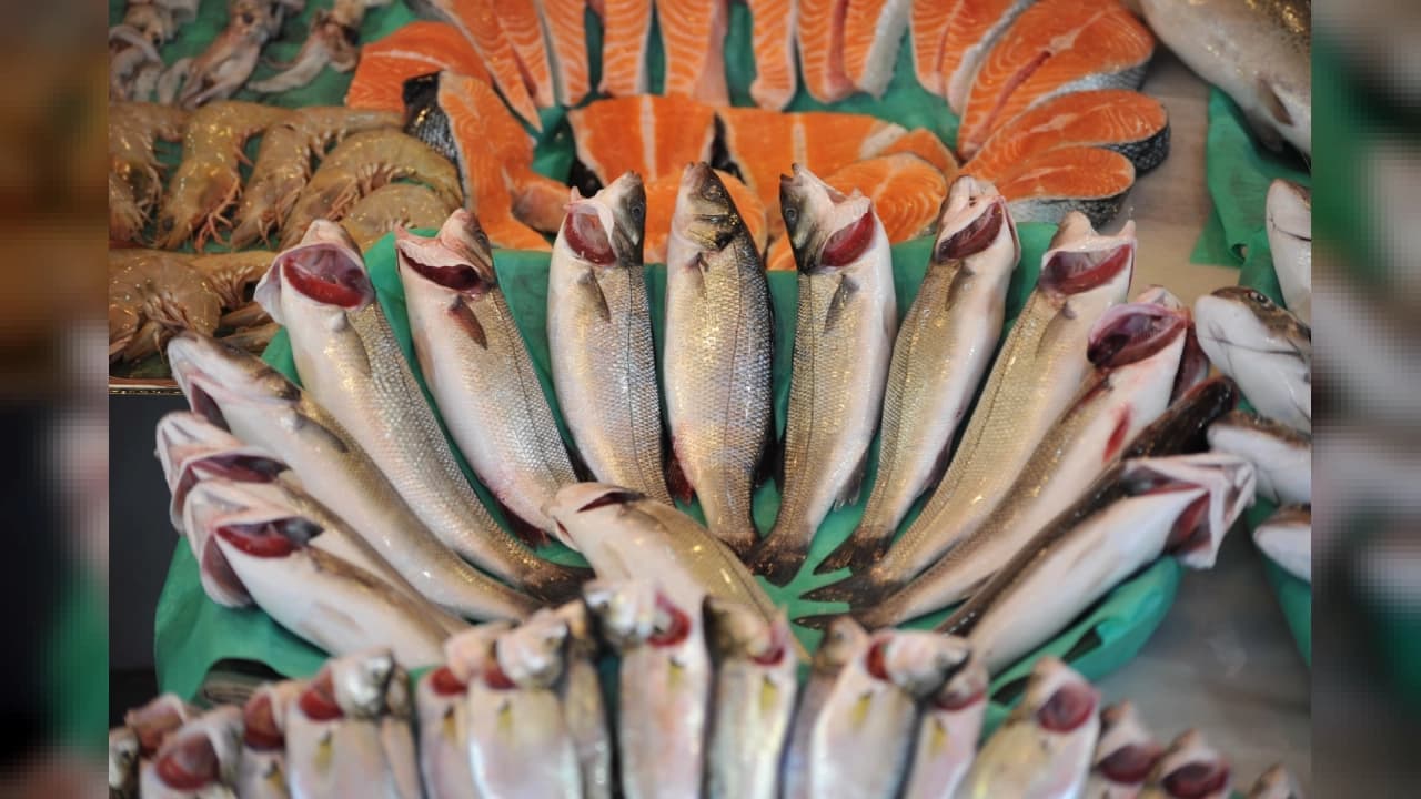 Future Fish Eurasia Fuarı İzmir'de Kapılarını Açıyor: 2,3 Milyar Dolarlık İhracat Hedefi