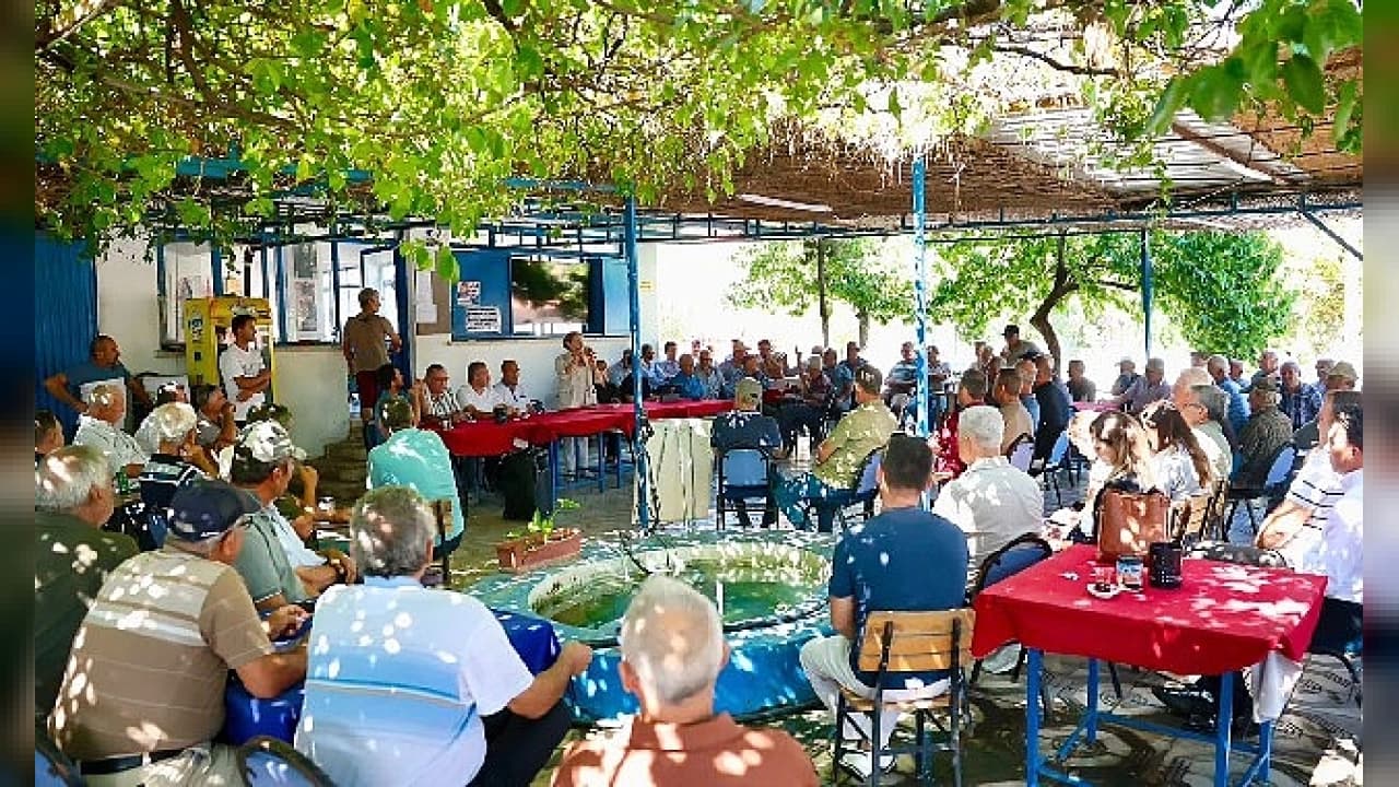 Gündemde Öne Çıkanlar: THY'den Dev Sipariş, Teknolojide Yeni Dönem ve Yerel Yönetim Yatırımları