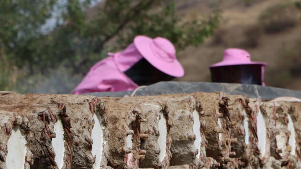 Van'da Pembe Maskeli Kadınlar 2 Bin Rakımda Geleneksel Karakovan Balı Hasadına Başladı