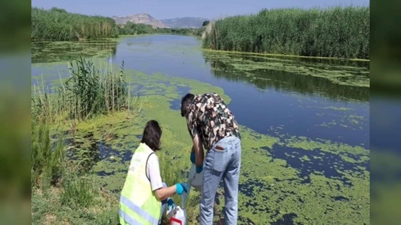 Gediz Nehri'nde Yaz Alarmı: Ağır Metal Kirliliği Normalin 200 Katına Ulaştı