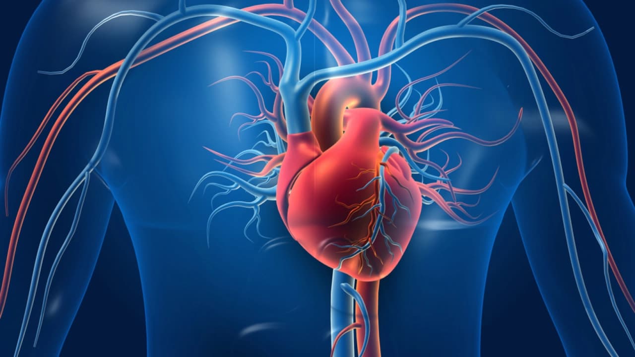 29 Eylül Dünya Kalp Günü'nde Uzmanlardan Kritik Uyarı: Kalp Krizi Türkiye'de 10 Yıl Daha Erken Görülüyor