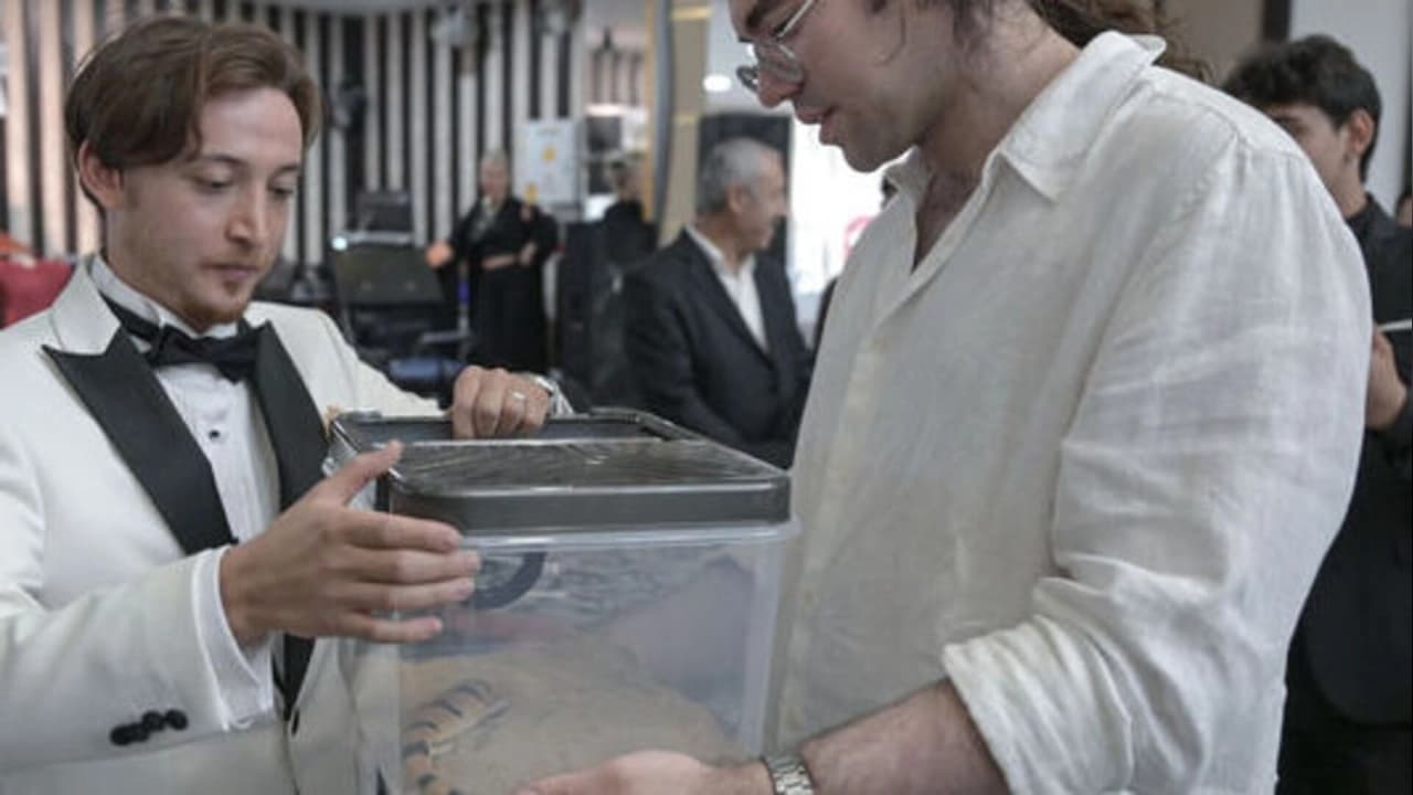 Ankara'da Sıra Dışı Düğün: Arkadaşları Altın Yerine Egzotik Hayvan Hediye Etti